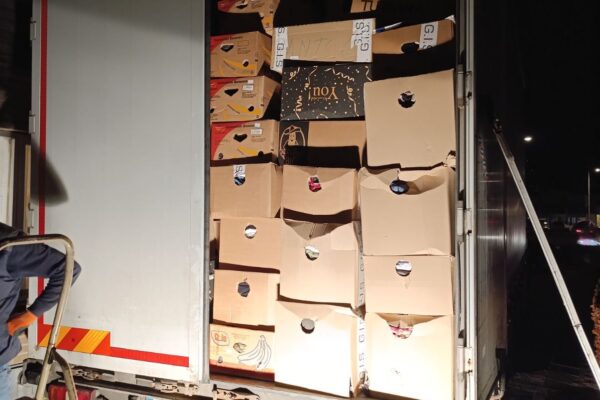 Afbeelding van WhatsApp op 2025-11-25 om 18.55.22_33ef3b61