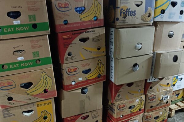 Afbeelding van WhatsApp op 2025-11-29 om 09.06.36_37ac8e21